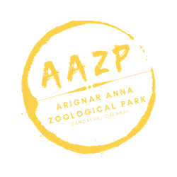 AAZP Logo